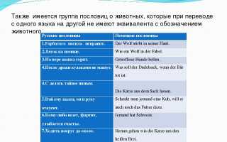 Русские пословицы на английский лад