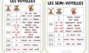 Французские гласные буквы