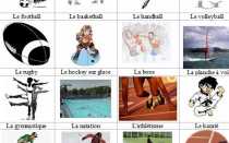 Виды спорта на французском языке