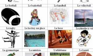 Виды спорта на французском языке