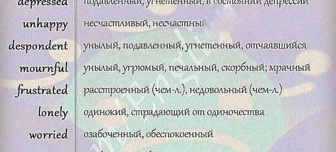 Выражение эмоций и чувств на английском