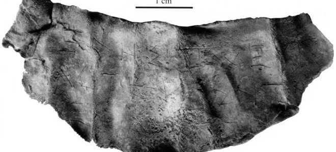 Как пишется слово «проклинать»?