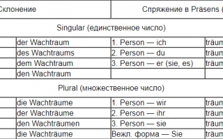 Возвратные и невозвратные глаголы в русском языке. примеры и правописание возвратных глаголов