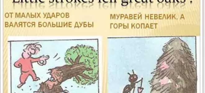 Топ 45 пословиц на английском языке
