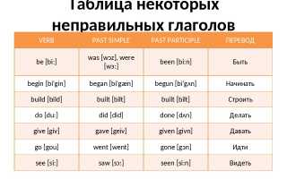 Глагол to have в английском языке: формы, правила, примеры