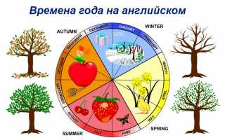 Месяцы и времена года в английском языке