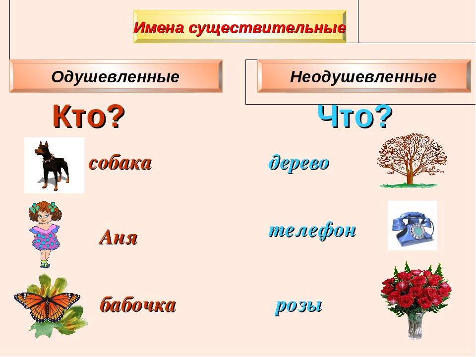 Розовый имя существительное. Имя существительное. Имя существительное в русском языке. Одушевленные и неодушевленные существительные. Имена существительные кто что.