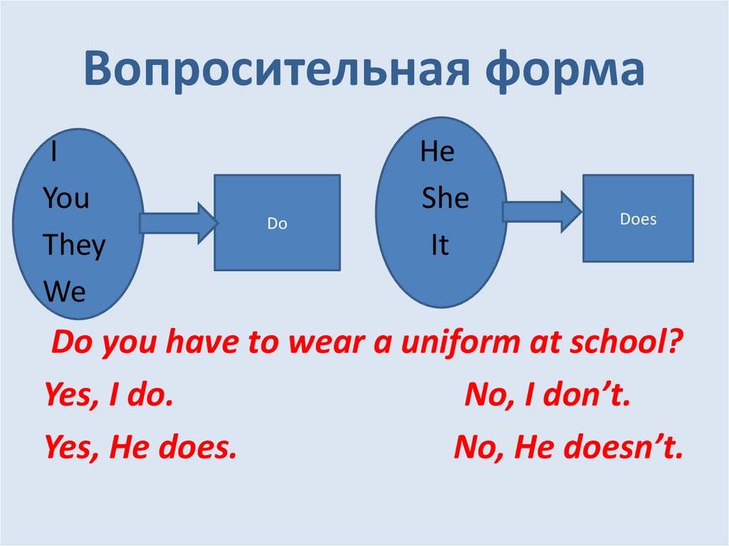 Dont form. Have to вопросительная форма. Вопросительная форма глагола have. Вопросительная форма глагола to have. Вопрос с модальным глаголом have to.