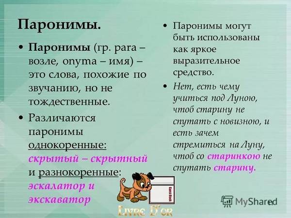 Омонимы в английском языке - тонкости омонимии