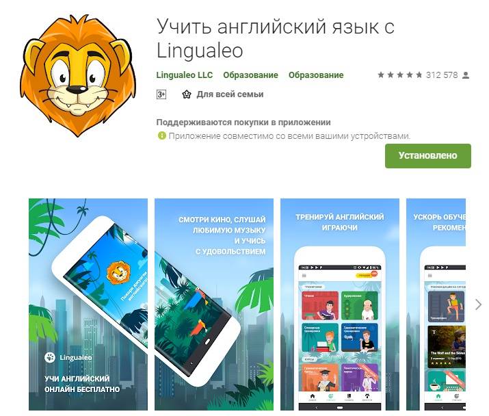 Lingualeo: обзор и отзывы – progress for you – прогресс для тебя