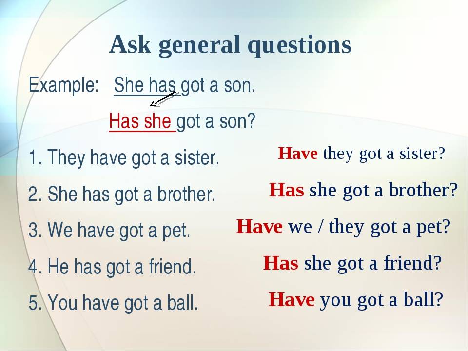 Ask the special questions. General вопрос в английском языке. Как составить вопрос с have got. General questions примеры. Have got has got вопросы.
