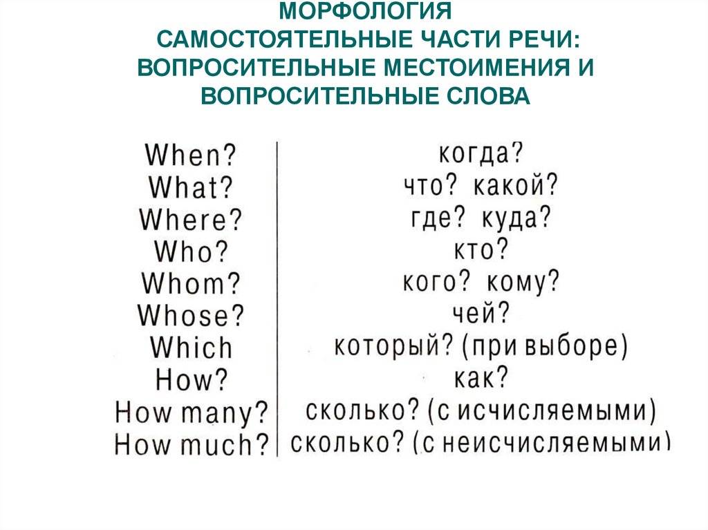 Неопределенные местоимения в английском языке – часть 1 ‹ грамматика ‹ engblog.ru