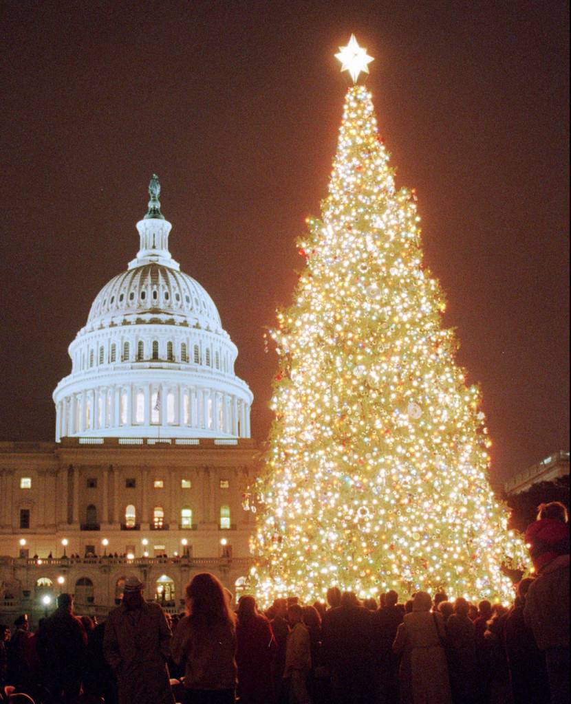 Американский новый год 2024. Рождество в США. Новый год в Америке. Елка в Америке. Рождественская елка в Великобритании.