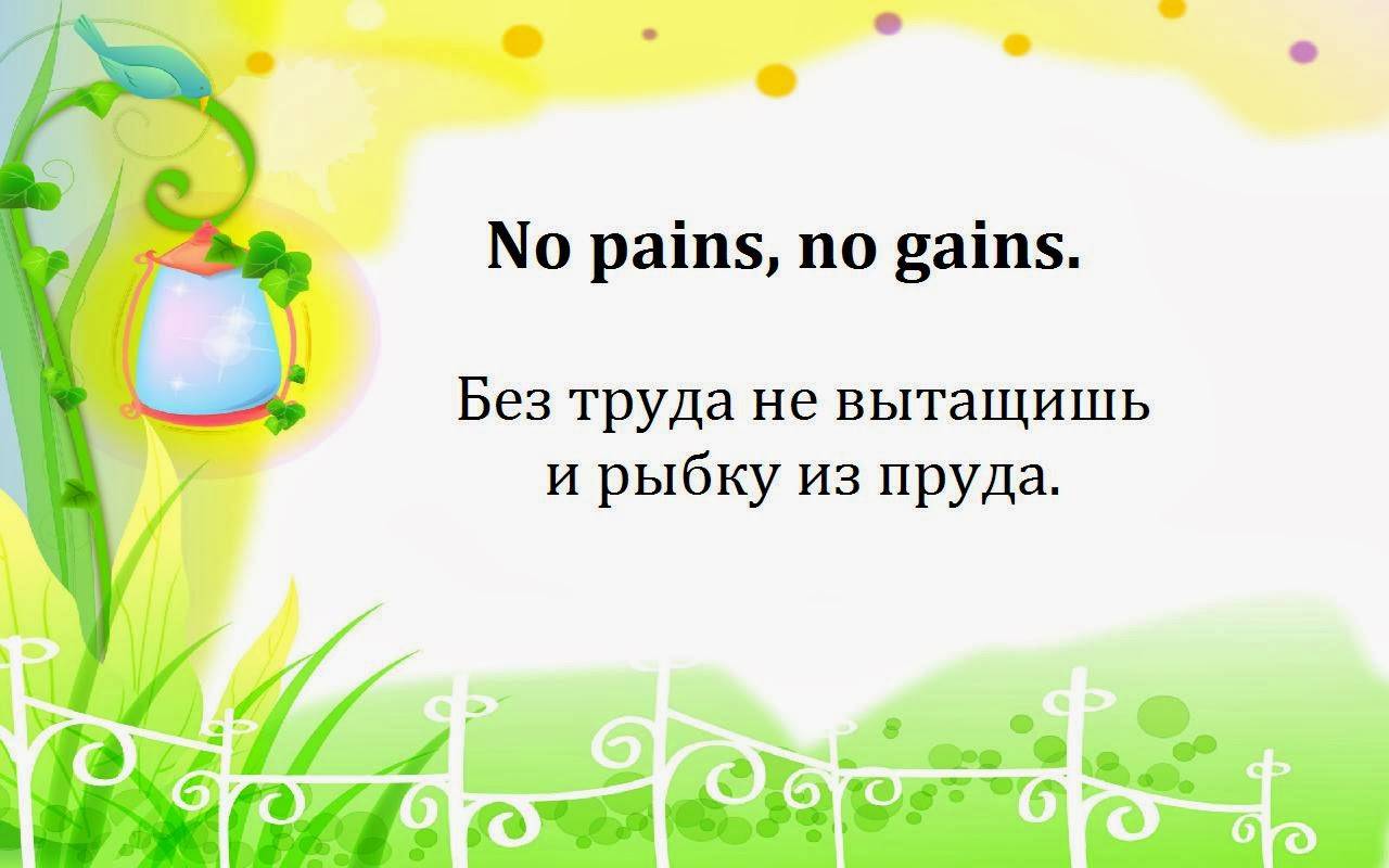 30 английских пословиц, которые пригодятся в разных ситуациях