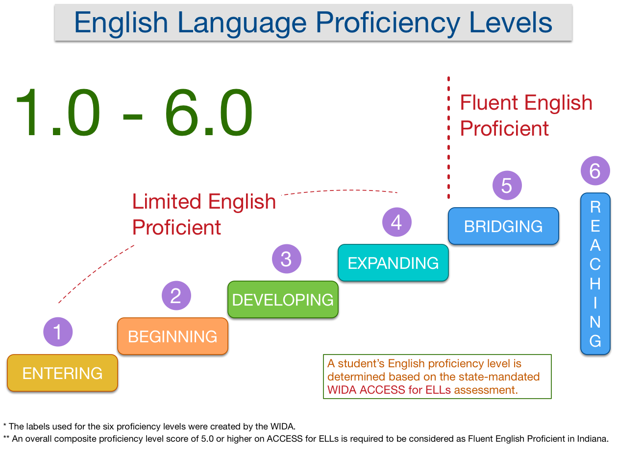 English language Proficiency Level. Fluent уровень английского это. Уровень Proficiency. Уровень английского языка Proficiency. Level английского языка