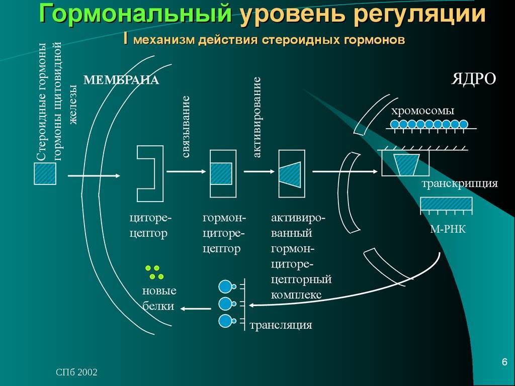 Регулятор finra и его функции