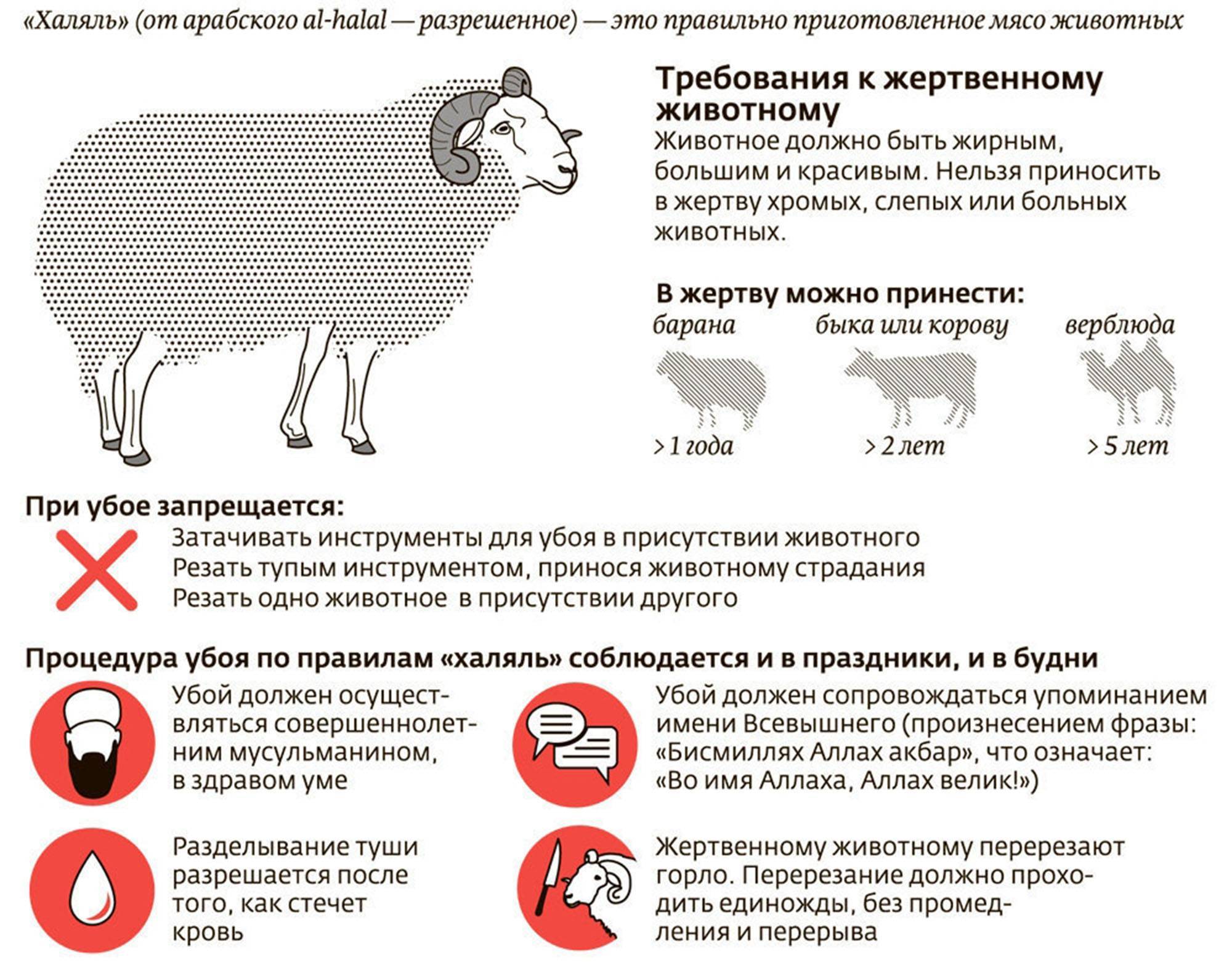 Методика барашек в бутылке интерпретация