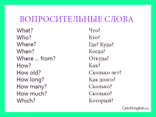 Английский интернет-сленг: 30 самых важных и нужных слов | fluentu - английский язык