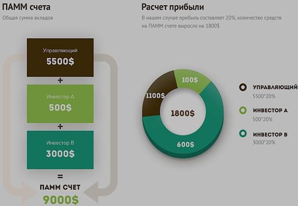 Памм счет (что это) и как он работает в примерах и цифрах | equity
