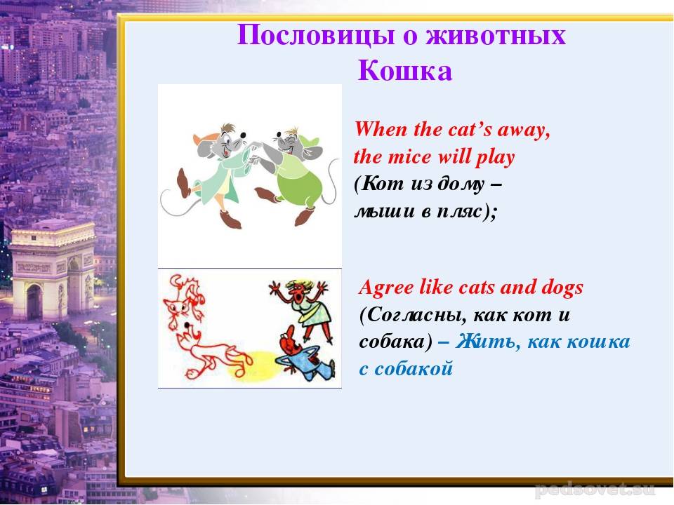 Пословицы и поговорки на английском языке с переводом. английские пословицы. english proverbs & sayings
