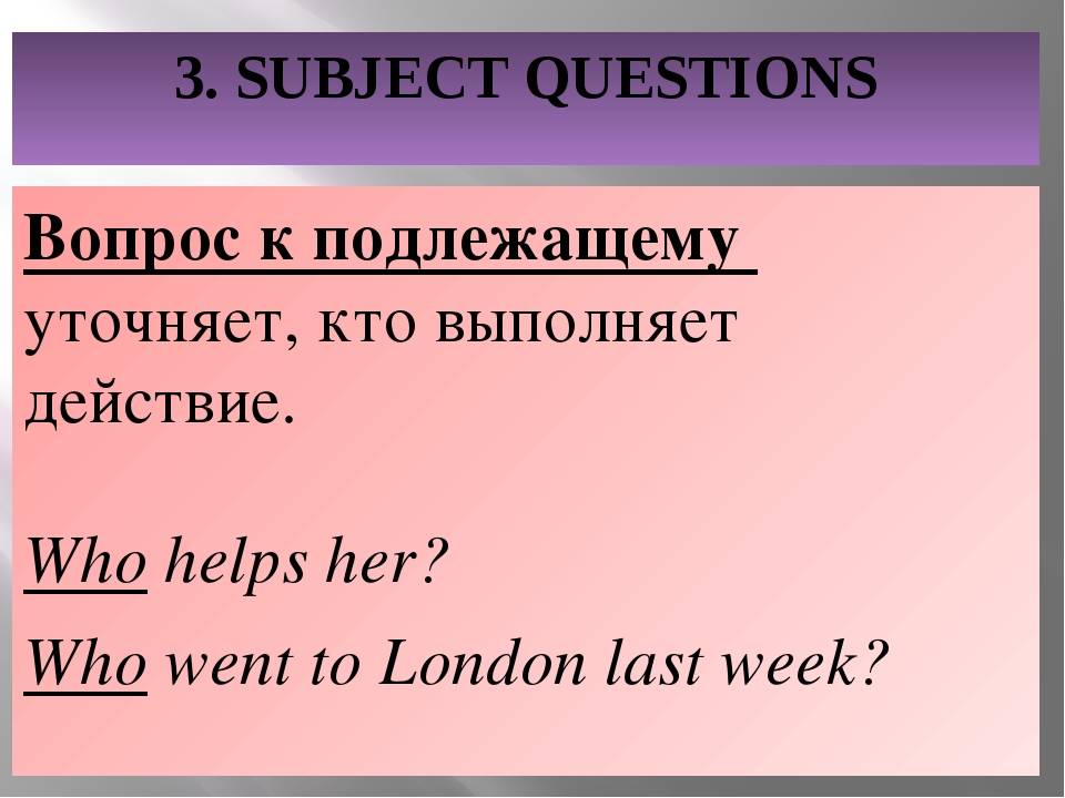 Специальные вопросы 5 класс