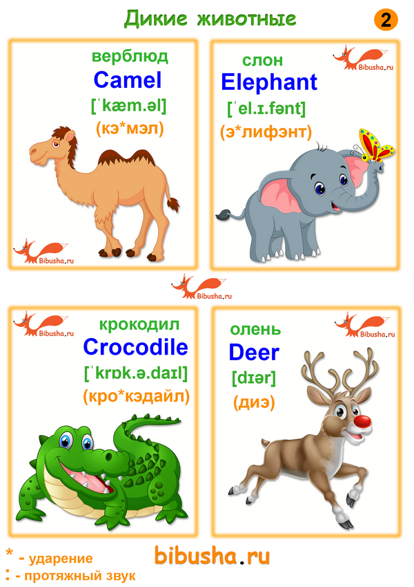 Карточки на английском. Животные по английскому. Английский для малышей карточки. Английский для детей карто.