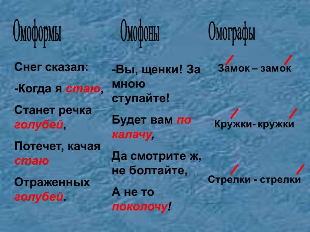 Омонимы в английском языке проект