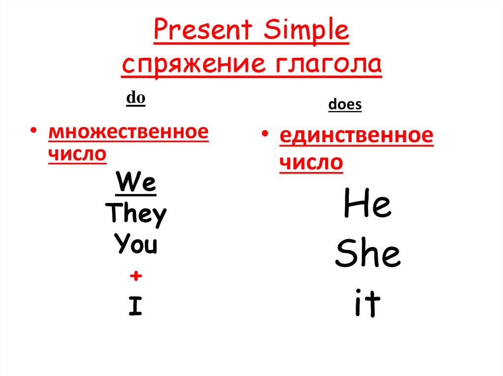 Правила построения отрицательного предложения в английском языке – изучение английского языка