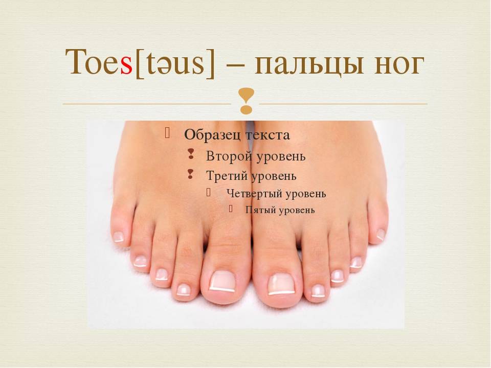 Toes произношение. Название пальцев на ноге. Названияаальцев на ногах. Название пальцев стопы. Пальцы на ногах название.