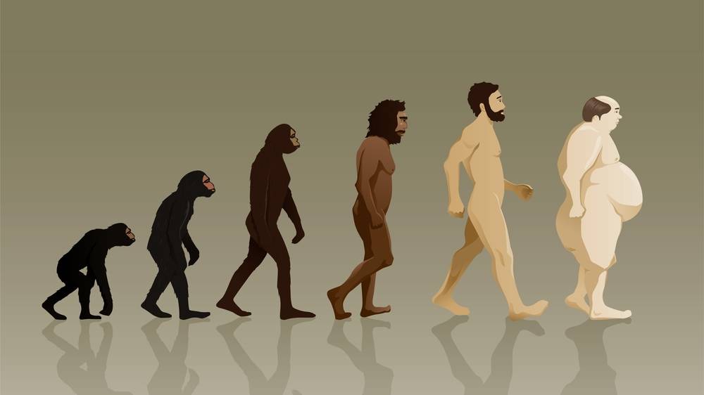 Как переводится слово man. разница между man, human, human being, person, people