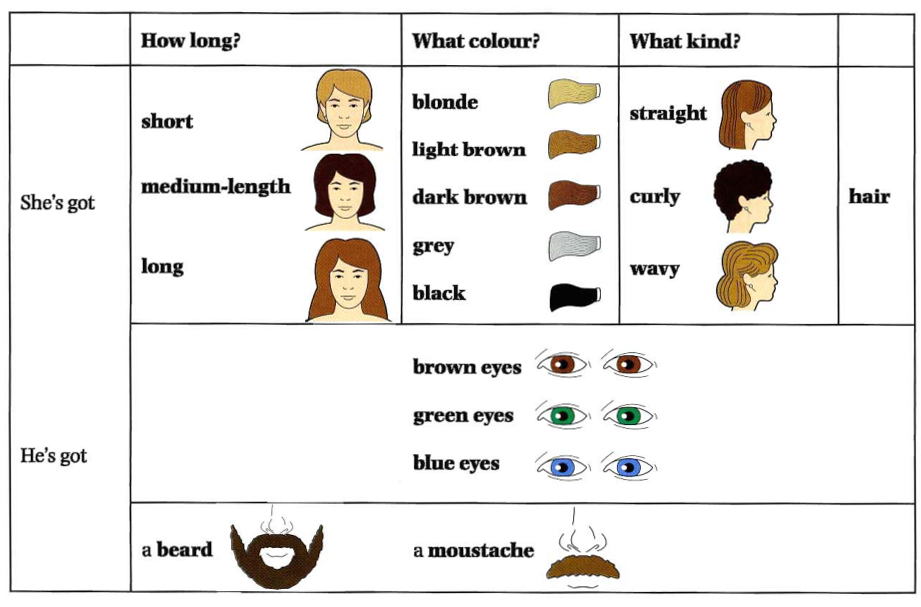 Как по-французски волосы перевод