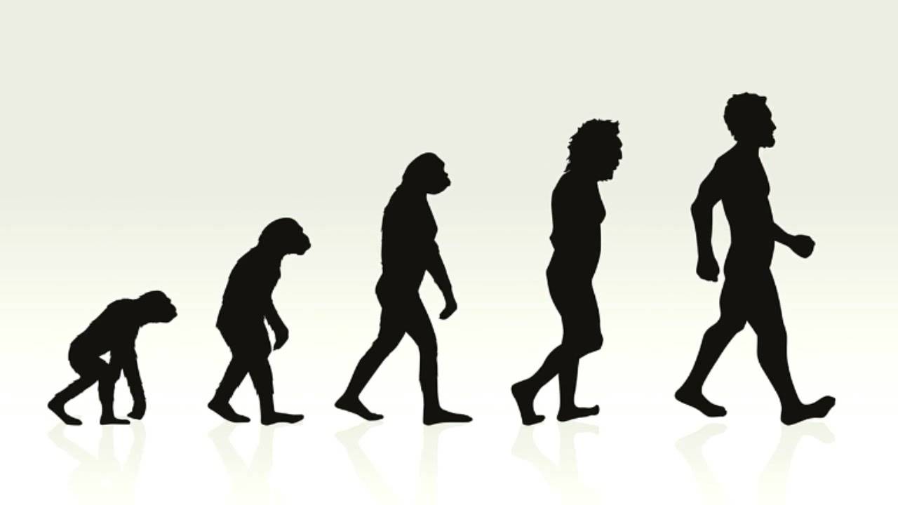 Как переводится слово man. разница между man, human, human being, person, people