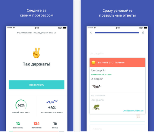 Anki - учим слова по карточкам с помощью интервальных повторений