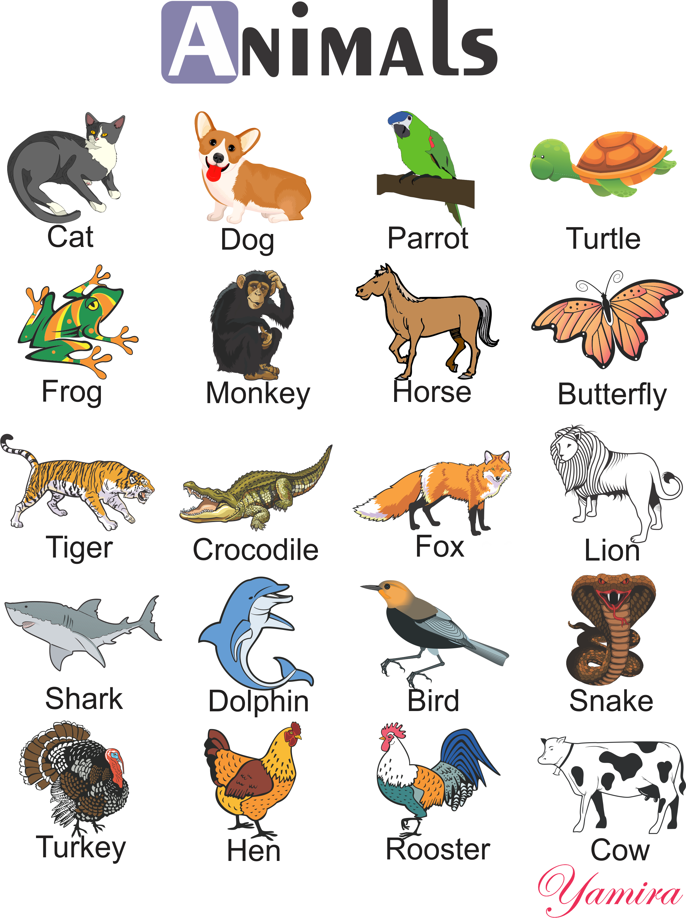 Имя animals. Животные на английском. Животные нкаанлийском. Животные на английском для детей. Животные названия на английском.