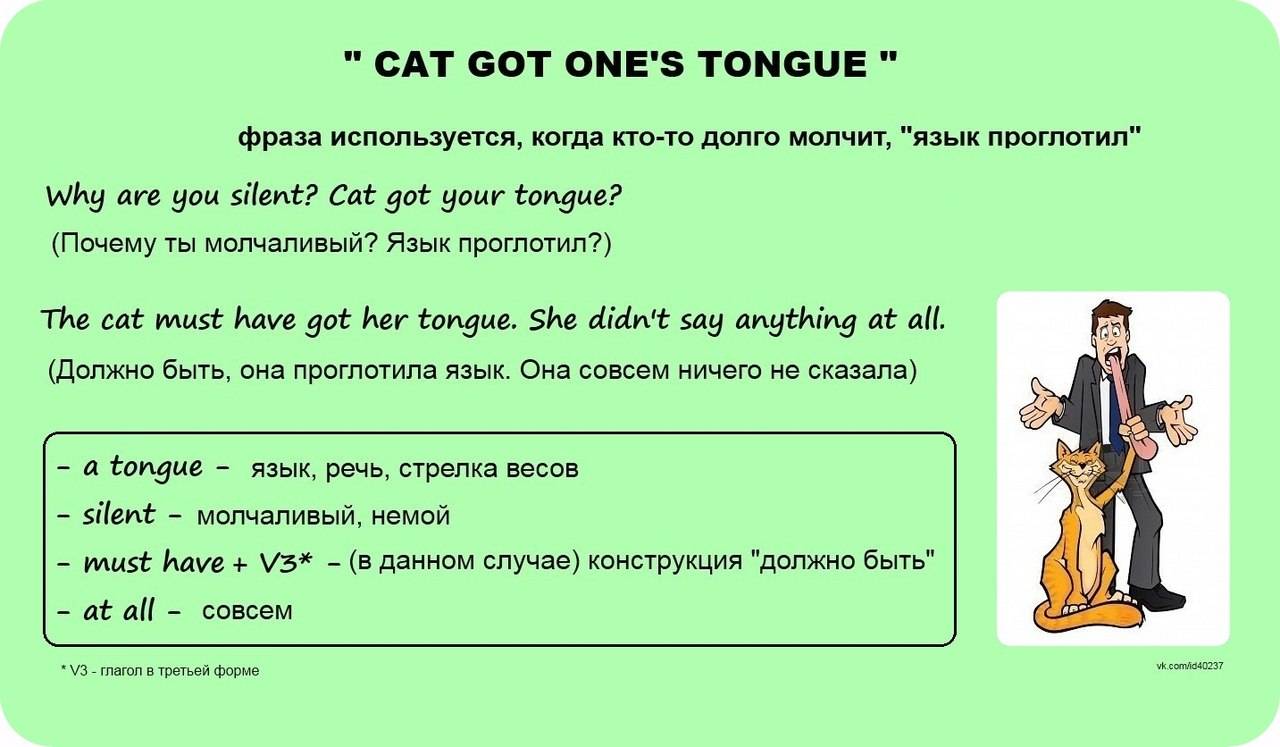 Got a cat перевод на русский. Идиомы на английском. Английский язык. Идиомы. Фразеологизмы в английском языке. Идиома в английском языке.