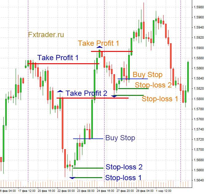 no loss only profit forex signal