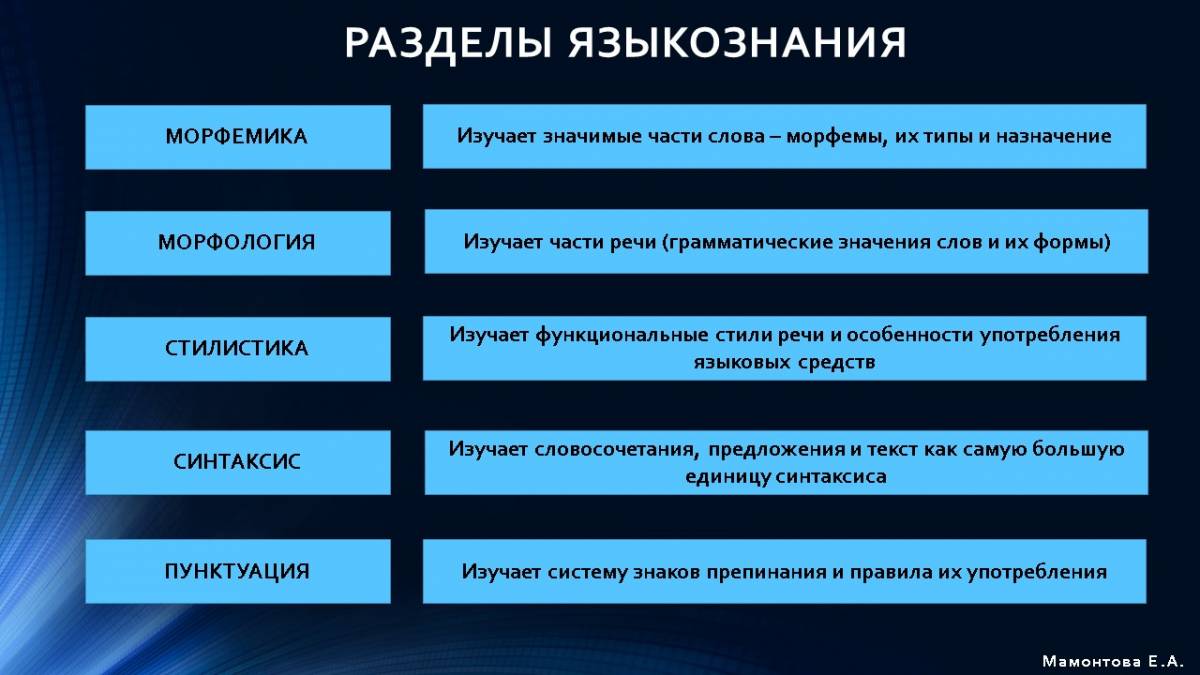 Лексика английского языка
