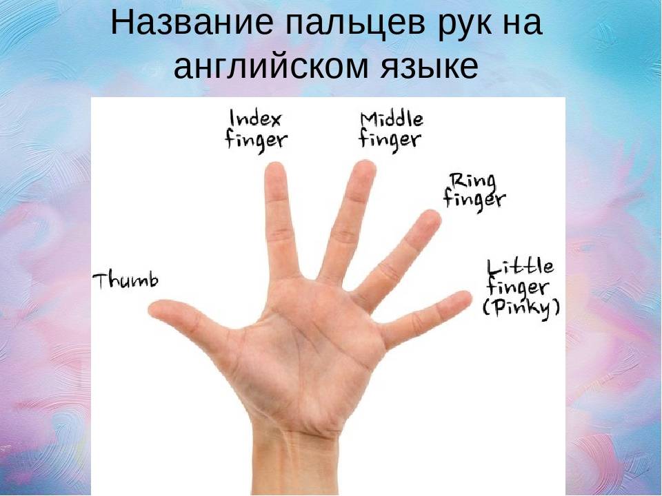 Почему пальцы назвали пальцами