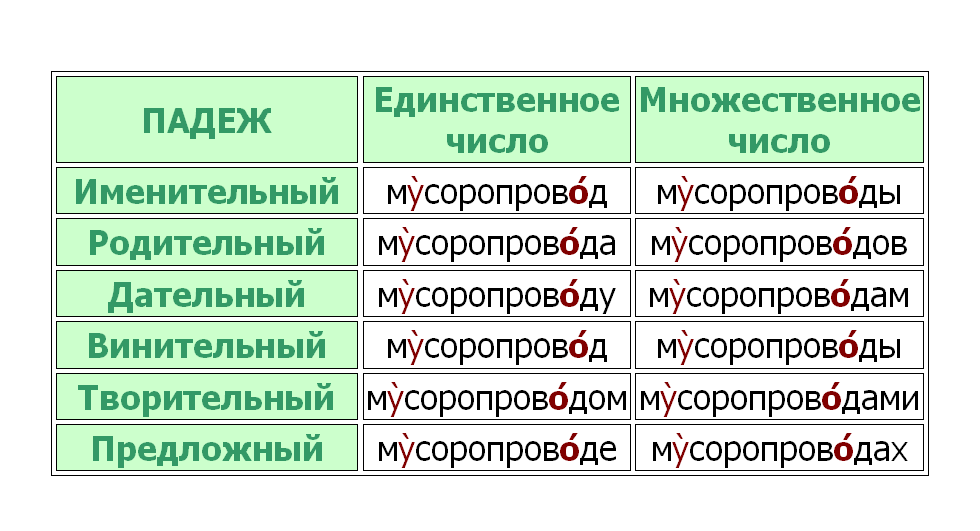 Как правильно пишется шкода