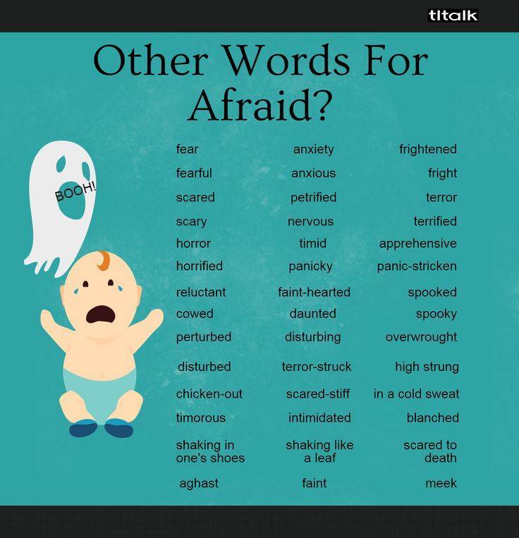 20-powerful-alternative-words-for-afraid-in-english-eslbuzz