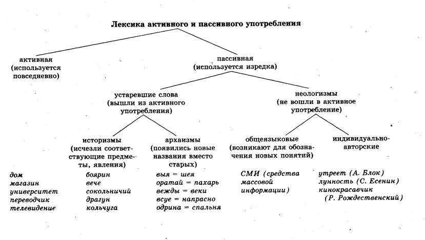 Теория лексики. Лексика типы лексики. Схема активная и пассивная лексика. Виды лексики в русском языке. Лексика классификация слов.