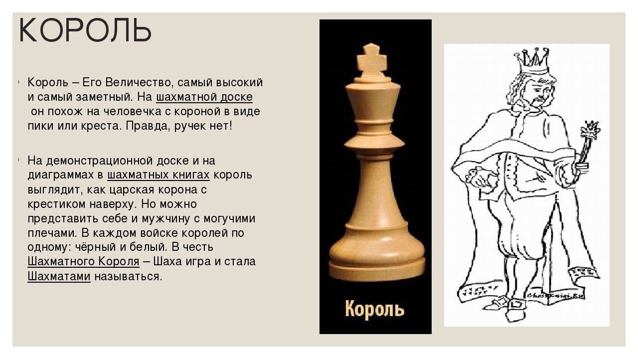 Может ли король рубить. Название шахматных фигур. Описание шахматных фигур для детей. Шахматная фигура Король. Название фигур в шахматах.