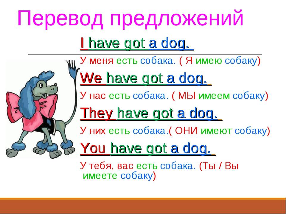 Перевод 3 класс. Предложение с have и has got. Отрицательные предложения с have got. Have got has got утвердительные отрицательные вопросительные предложения. Предложения с глаголом have got.