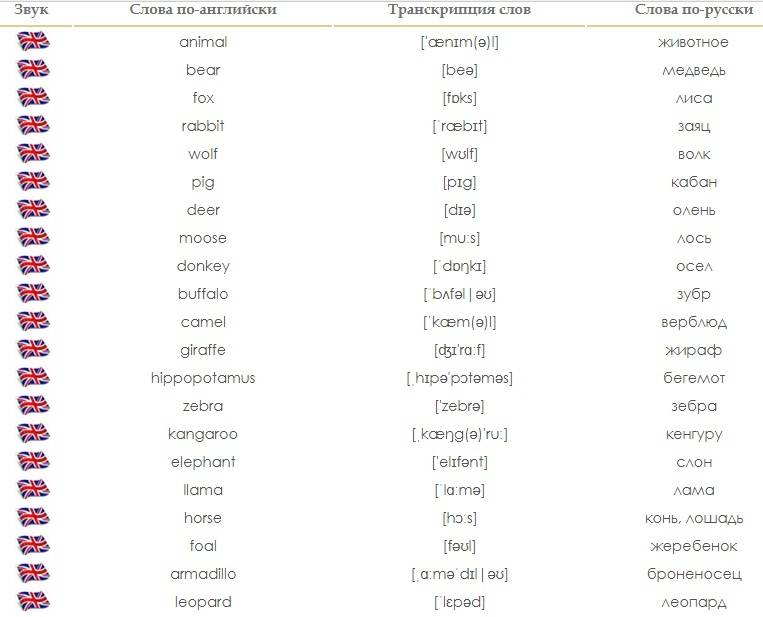 Список слов перевод на английский