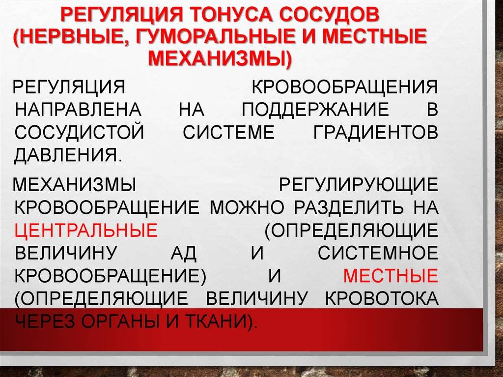 Как ошибаются финансовые регуляторы форекс