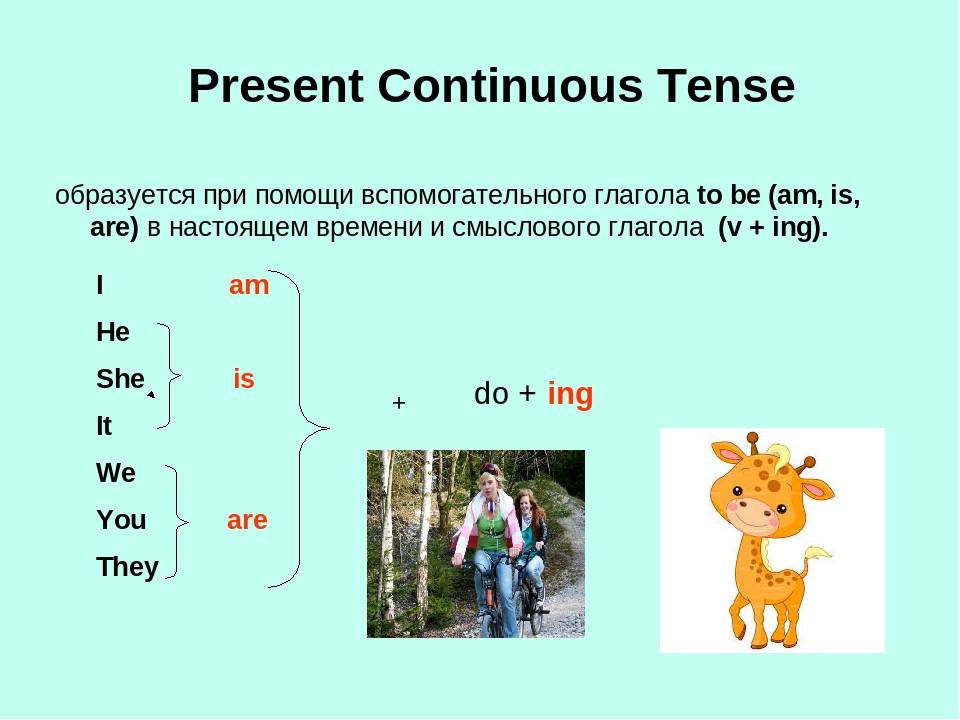 Animal continuous