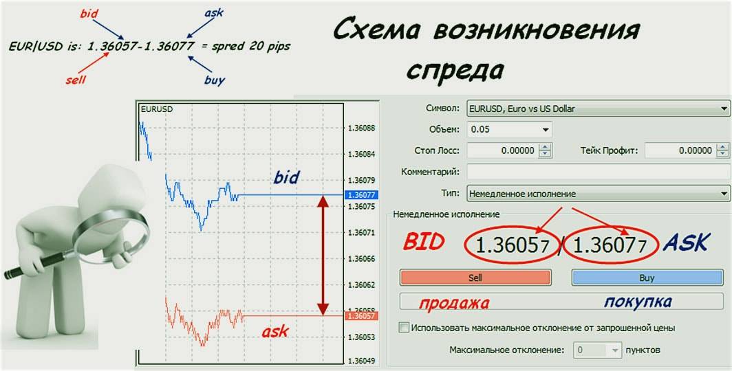 Спред на форекс: почему он возникает