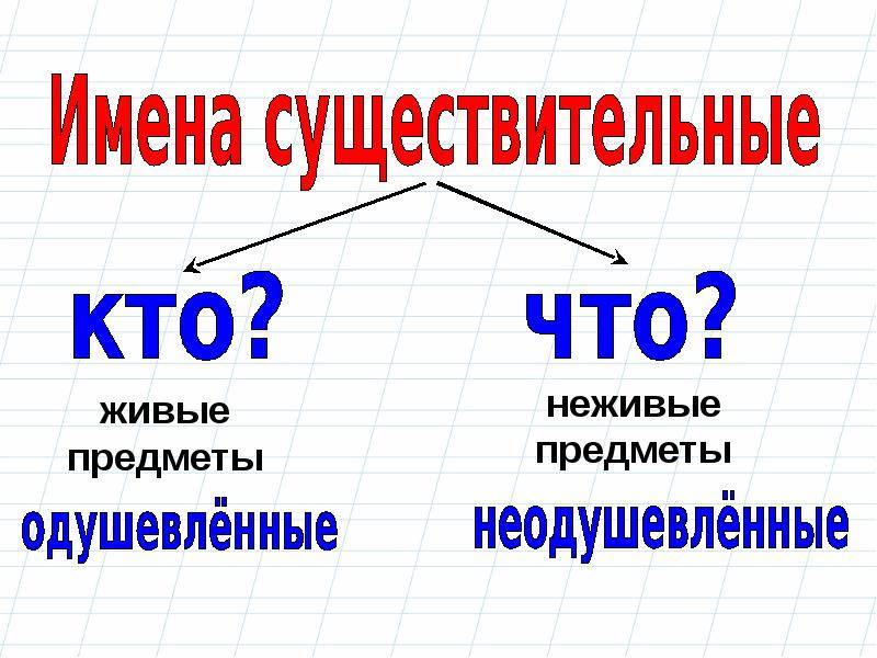 Родительный падеж в английском языке. genitive in english