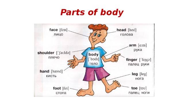 Can use the body. Части тела на английском. Английские слова части тела. Dxfcnb ntkj YF fyukbqcrjb. Части тела человека на английском языке.