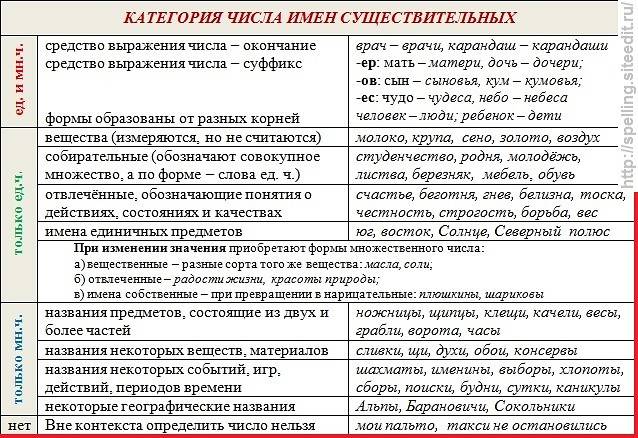 Наименований имеем собственный. Числа имен существительн. Числа имен существительных в русском языке. Категория числа имен существительных в русском языке. Грамматические категории существительных в русском.